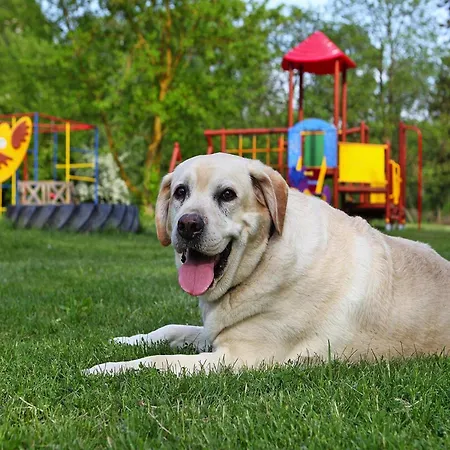 At The Kummerower In * Verchen