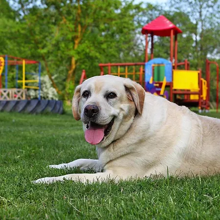 בית נופש At The Kummerower In *