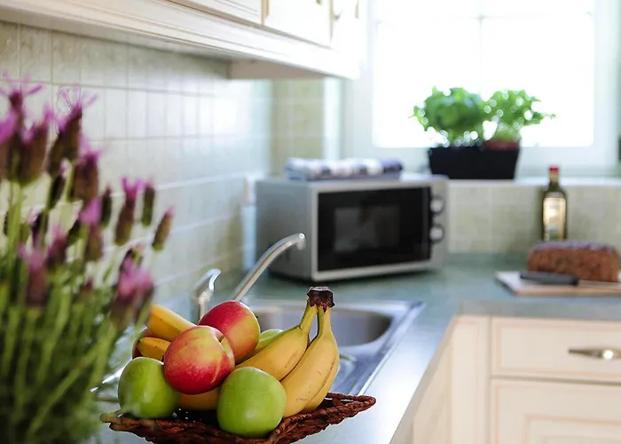 Tatil Evi At The Kummerower In *