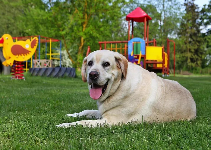 At The Kummerower In * Verchen